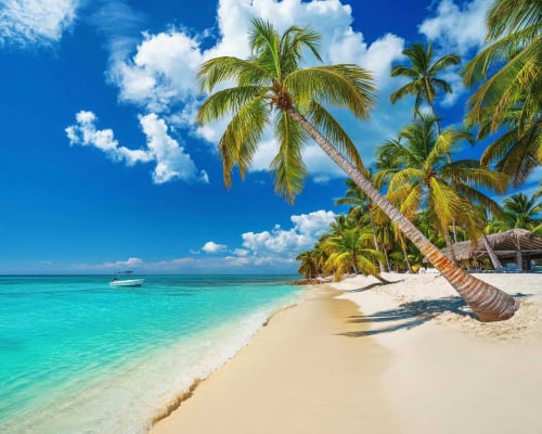 CARIBE RD. Operador directo. Tours Puna Cana - Isla Saona.