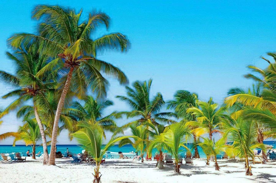 CARIBE R.D Tours Puna Cana - Isla Saona