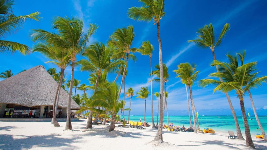 CARIBE RD. Operador directo. Tours Puna Cana - Isla Saona.