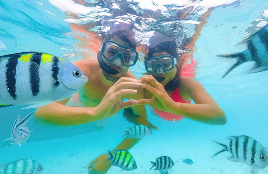 CARIBE R.D Tours Puna Cana - Isla Catalina.