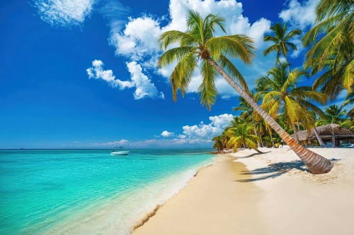 CARIBE R.D Tours, Excursiones VIP a Isla Saona.