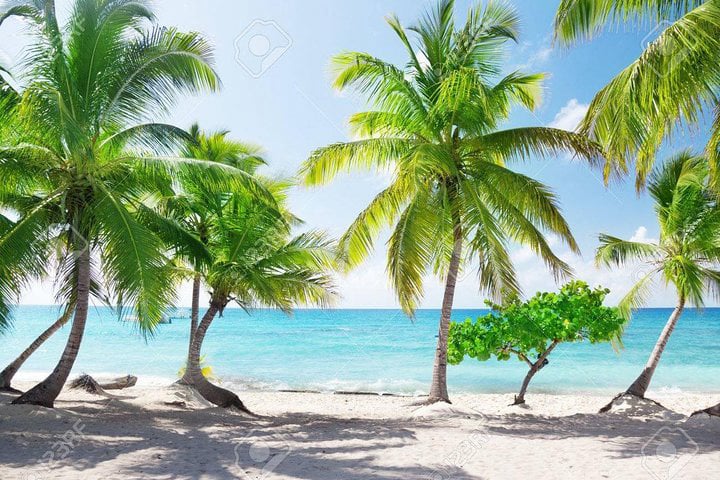 CARIBE RD. Operador directo. Tours Puna Cana - Isla Catalina.